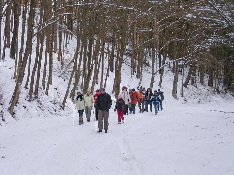 20110122 027.jpg